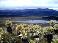 /album/fotogaleria-parques-nacionales-de-colombia/purace-jpg/